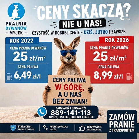 Pranie dywanów w Pralni Myjek - najwyższa jakość i najlepsza cena.